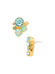 Crystal Assorted Rounds Stud Earrings - EDB11BGCSD