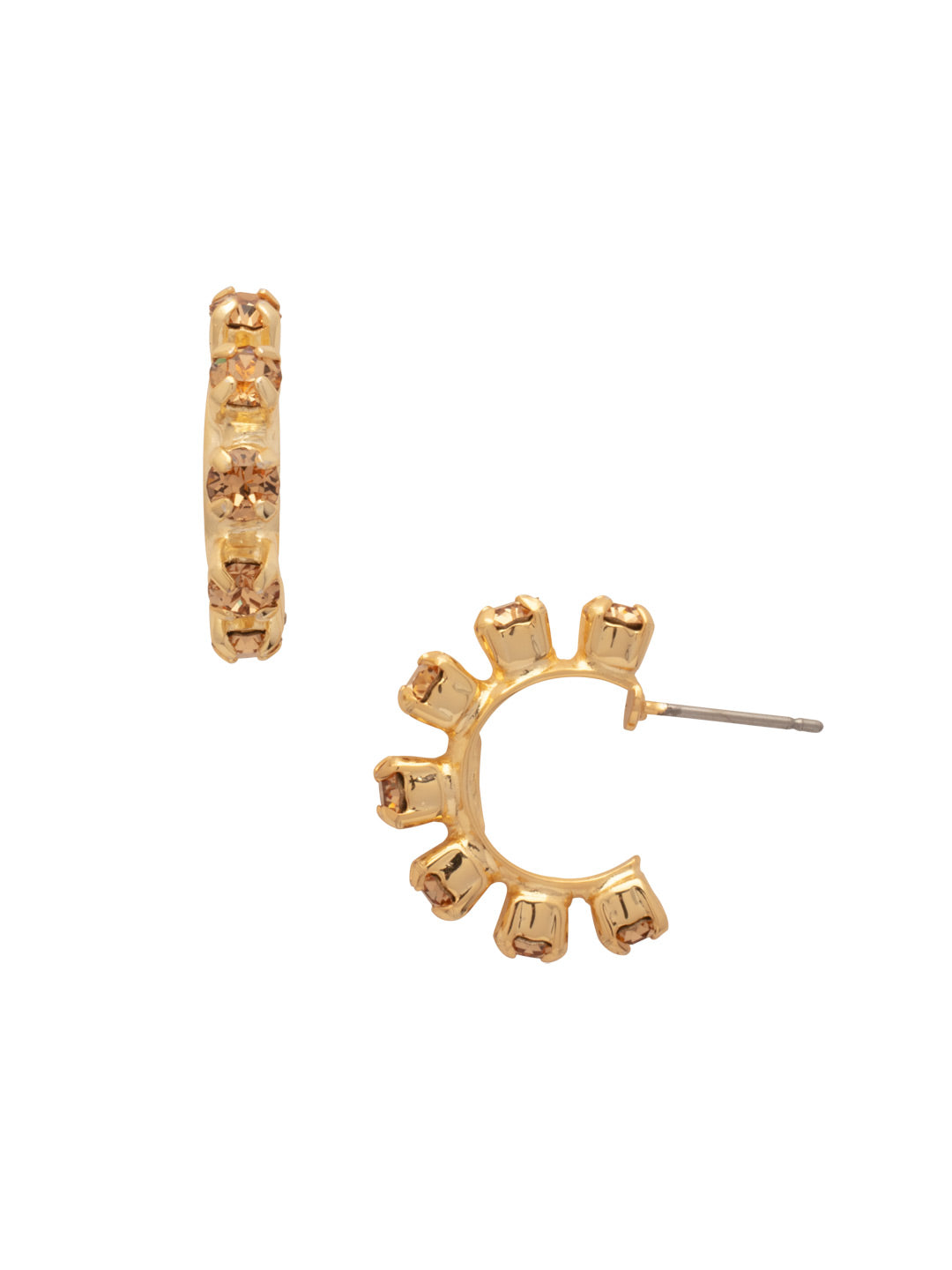 Marnie Hoop Earring - EFA2BGMS