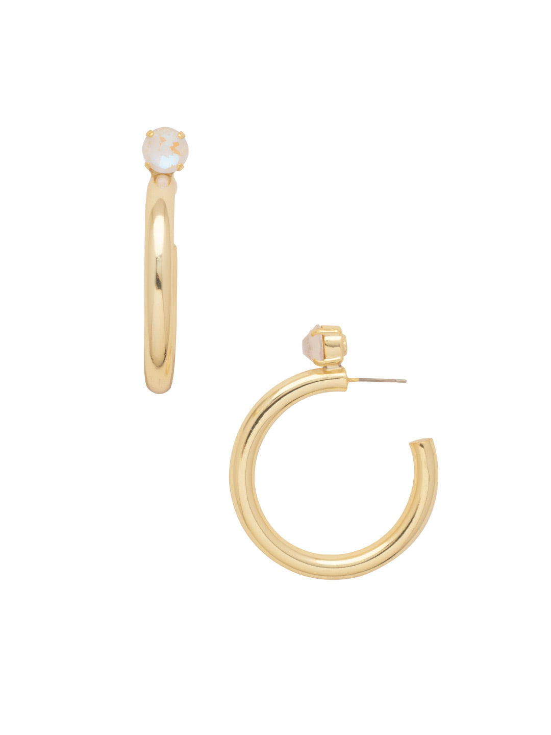 Keeley Studded Hoop Earrings - EFP26BGICL