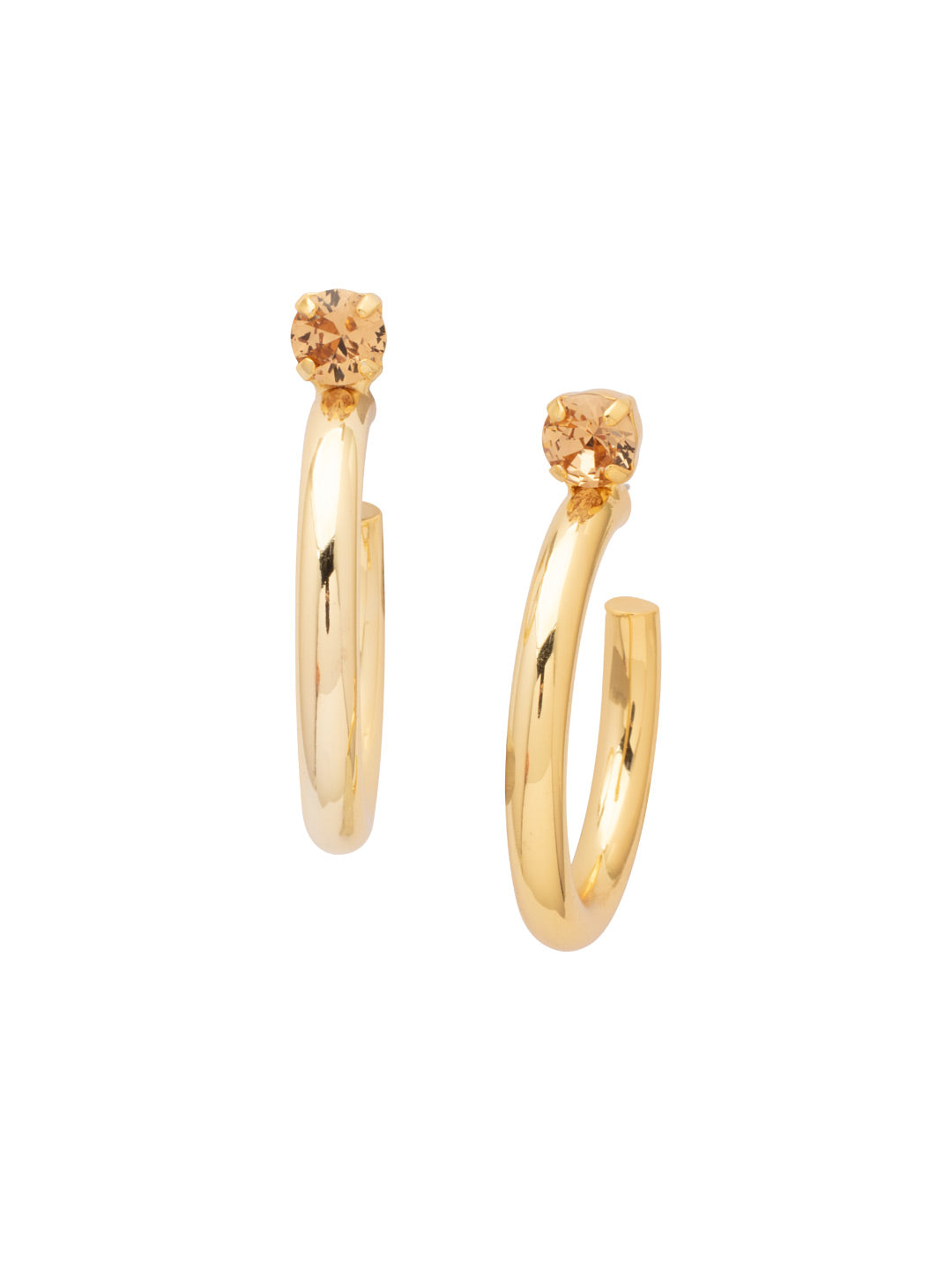 Keeley Studded Hoop Earrings - EFP26BGLC