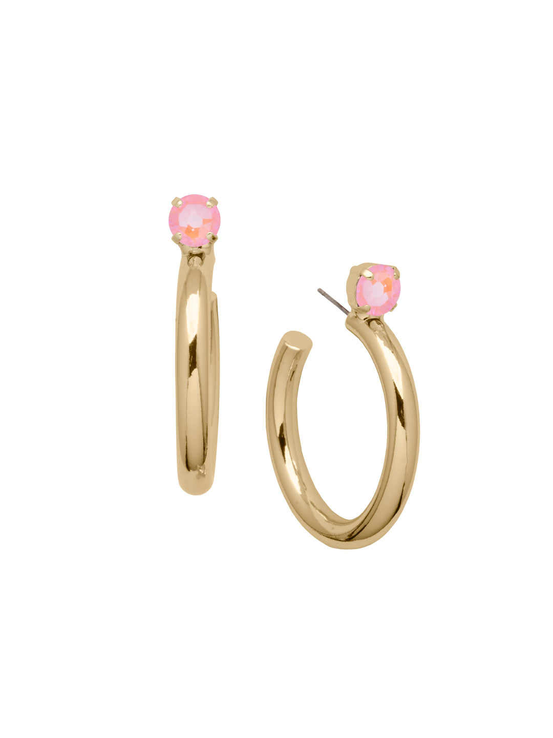 Keeley Studded Hoop Earrings - EFP26BGLRD